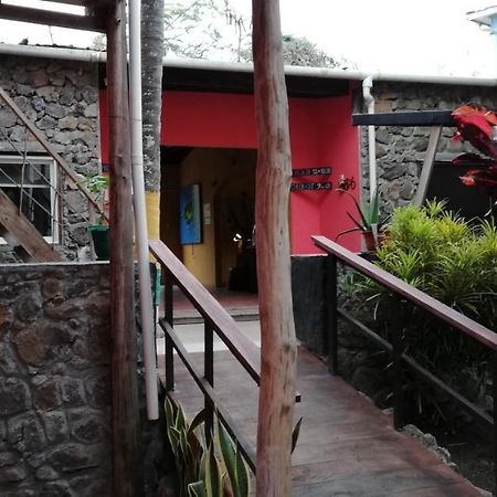 Galapagos Morning Glory Hostel Puerto Ayora  Luaran gambar