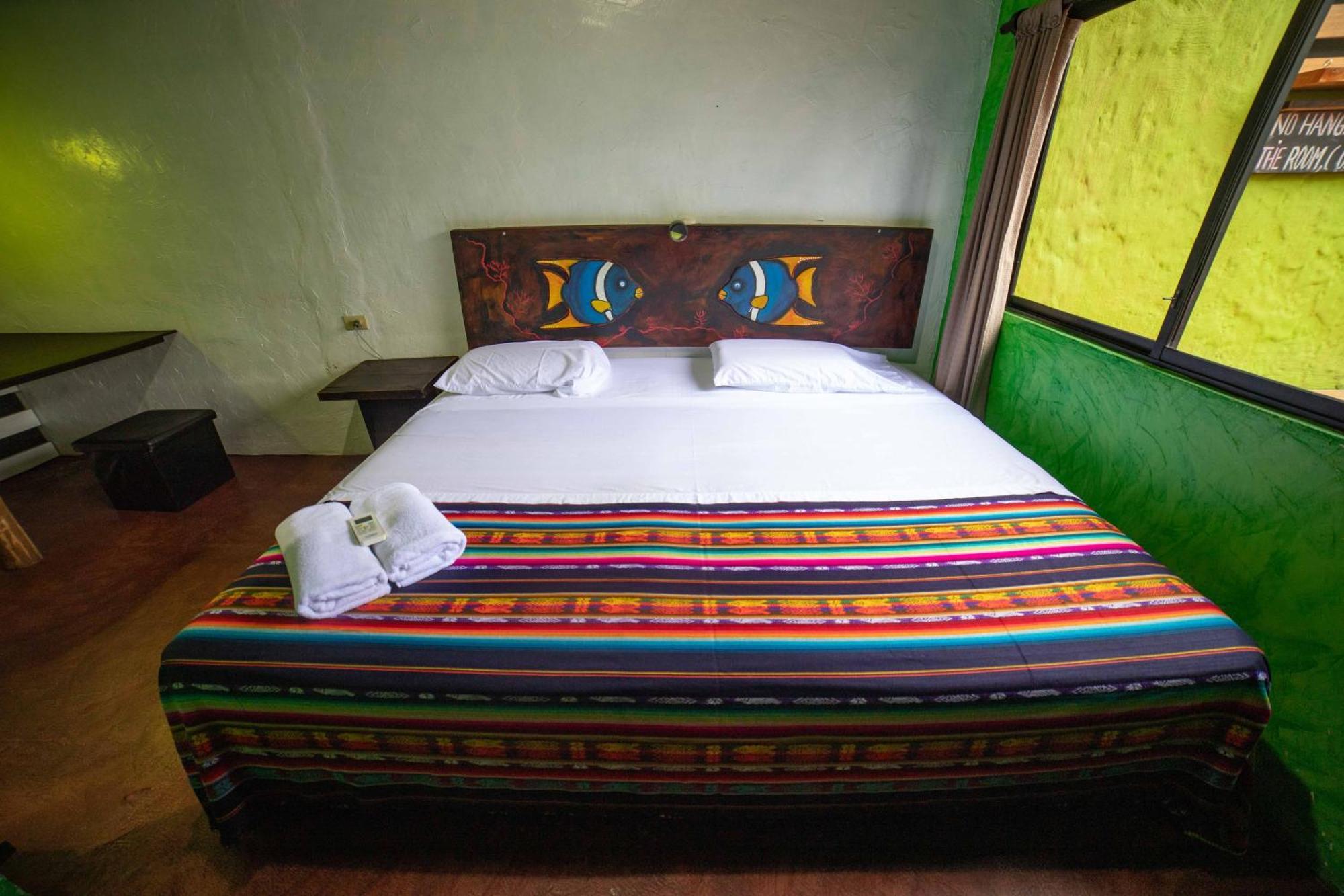 Galapagos Morning Glory Hostel Puerto Ayora  Bilik gambar