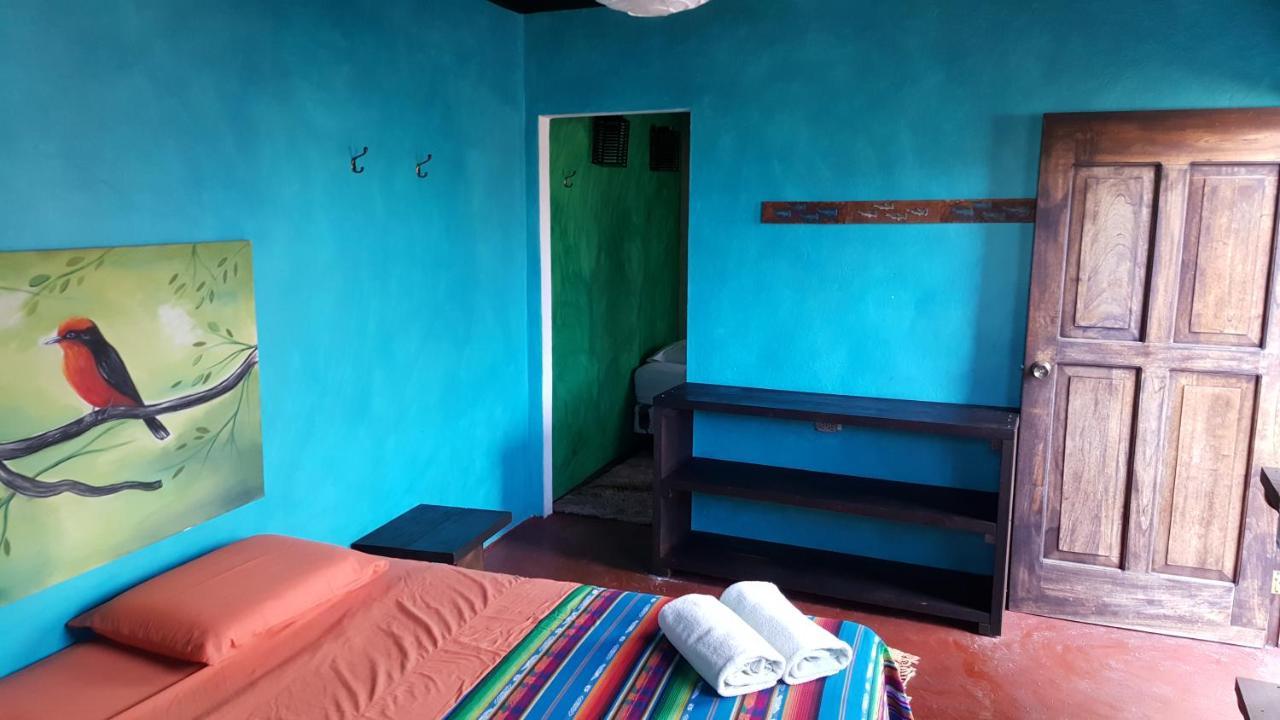 Galapagos Morning Glory Hostel Puerto Ayora  Luaran gambar