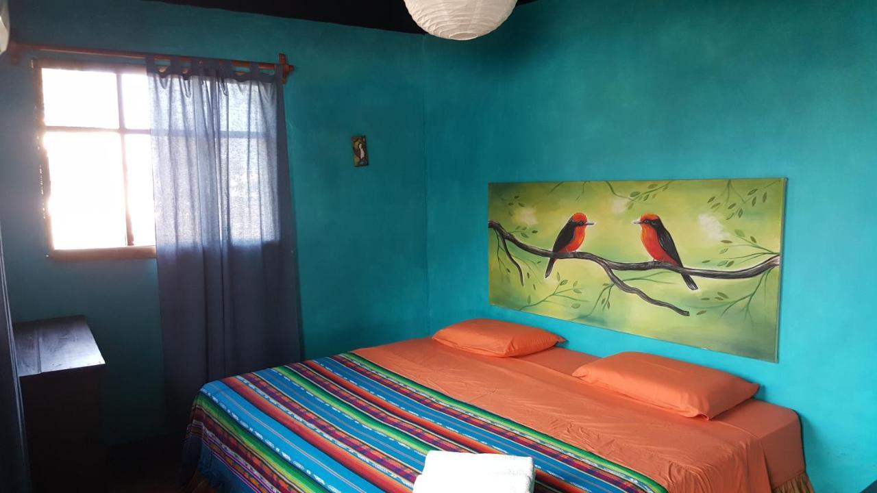 Galapagos Morning Glory Hostel Puerto Ayora  Luaran gambar