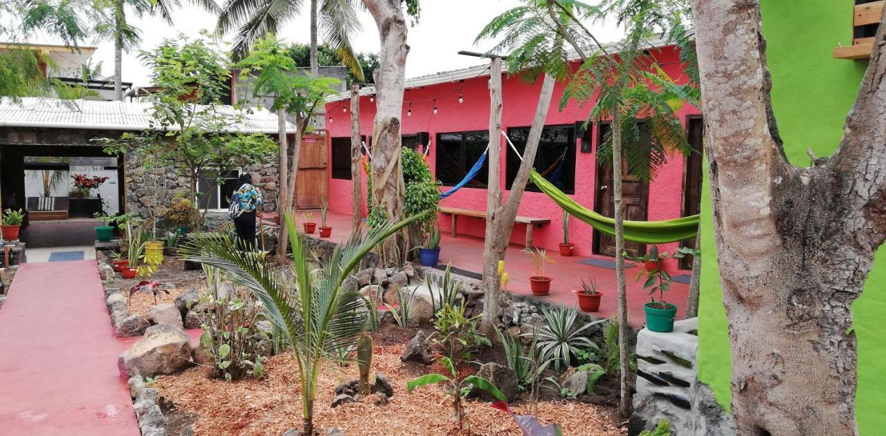 Galapagos Morning Glory Hostel Puerto Ayora  Luaran gambar